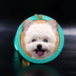 Leather carved pet commemorative plaque